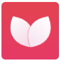 一帧秒创生成器app