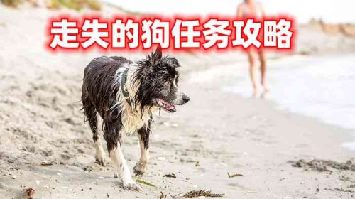 《渔帆暗涌》走失的狗任务攻略