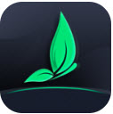 绿茶影视app