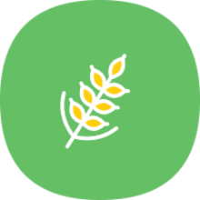 麦子下载器app