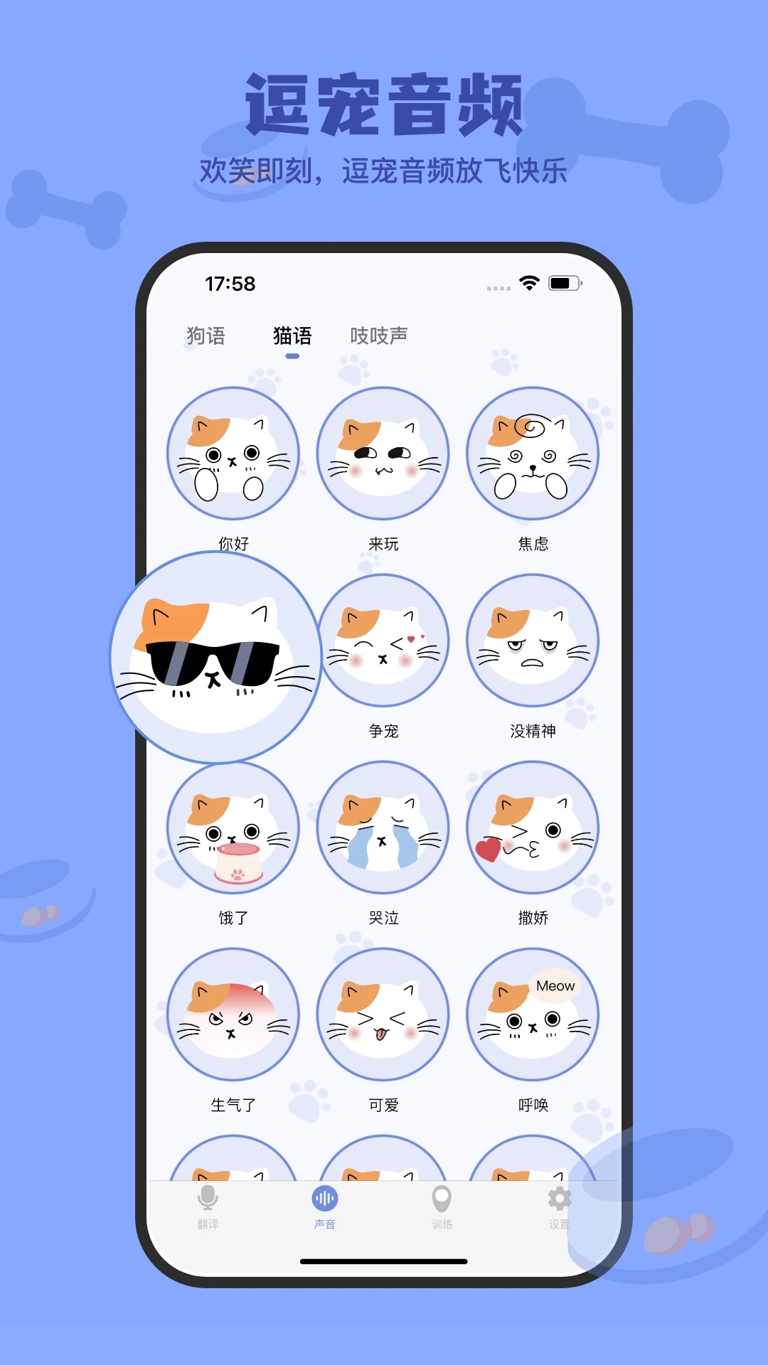 小白交流翻译app官方版下载【02-28更新】