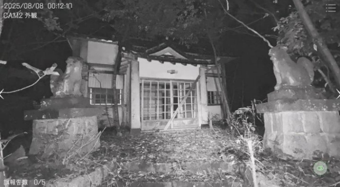 日本事故物件监视协会游戏安卓官方版下载