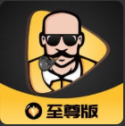 糟老头至尊版