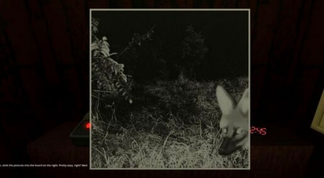 动物观察员恐怖游戏安卓最新版下载 动物观察员恐怖游戏安卓最新版下载