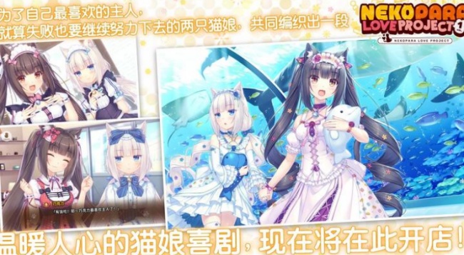 猫娘乐园手游下载汉化完整版 猫娘乐园手游下载汉化完整版