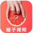 柚子视频破解版