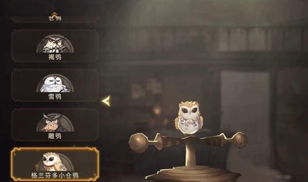 1678774696697246.jpg 2021091015322963900.jpg