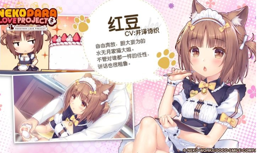 1781509569603704.png image.png