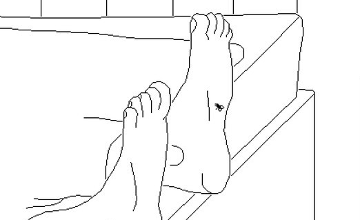 1782607242596785.png image.png